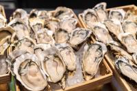 Korean Frozen Oysters Destroyed Six Times in U.S. Over Norovirus