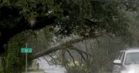 Hurricane Isaias Brings 96 MPH Gusts to Florida as Flooding Threat Grows