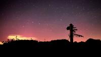 Northern Lights captured in Swansea, Pembrokeshire and Monmouthshire on Saturday night in stunning scenes