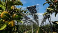 Farming and solar power are competing for land. Can agrivoltaics solve the problem?