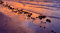 The Best Of The Texas Gulf Coast Thrives On This Extraordinary Road Trip Full Of Beaches, Nature, And Cozy Stays