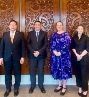 Foreign ministry consultations with New Zealand held after 12 years