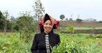 In Vietnam's highlands, a Thai woman builds a $232,000 organic business