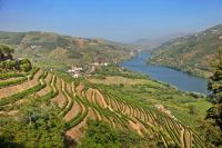 Steves: Savoring the scenery — and port — of Portugal’s Douro Valley