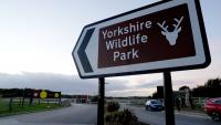Wildlife expert's crucial tiger warning as man mauled to death at Yorkshire Wildlife Park