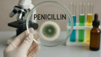 World Bank Evaluates IPCI as West Africa's Biomedical Hub Amid Power Constraints