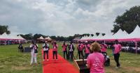 Journalists look back on a decade of breast cancer reporting in Ghana