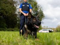 Swiss police dogs take part in first-aid training exercise in Italy