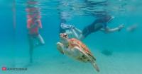 Sustainable blue tourism: How strong governance protects coastal ecosystems