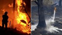Climate change not the only blame for bushfire crisis as new research points the finger at history