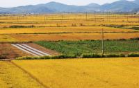 Korea Opens Farmland Survey Counseling Center Amid Owner Concerns