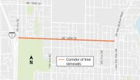 Tree removal along NE 145th St in Seattle and Shoreline