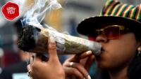 Rs 3,000 a gram, peddlers in hiding: Indian stoners panic as weed drought hits