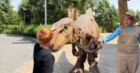 Dubai Parks and Resorts reopens with new attractions and live shows