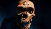 'News reports tweaked the science to speak to contemporary anxieties': How Neanderthal extinction is a projection of our own, modern fears
