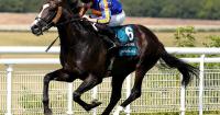Scandinavia could be part of O’Brien’s Champions Day squad