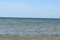 109 migrants dead, 116 missing in boat wreck off Djibouti: UN