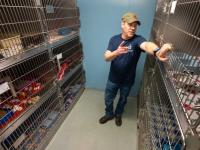 In central Maine, communities struggle to find, keep animal control officers