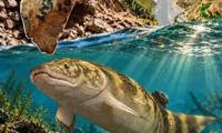 China-Australia team identifies 360-million-year-old lungfish species, recalling the 'Himalayan fossil hoax'