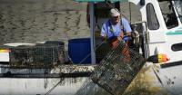 Appeals court dismisses Maine lobstermen defamation case against California aquarium