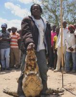 Zambian Man Kills Suspected Crocodile Linked to Deaths of Two Sisters