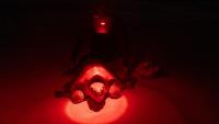 Under a fiery nocturnal lamp, a lifesaving beach rescue of exhausted turtle earns Spanish photographer major award