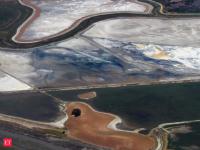 San Francisco Bay cut invasive cordgrass by more than 97%; native Ridgway’s rails later expanded into restored former salt ponds as marsh habitat returned
