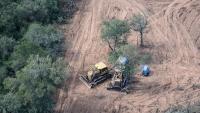Environmental complaint in Salta: manage to document the destruction of native forest with bulldozers