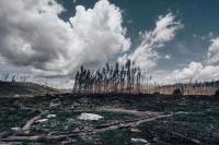 WWF warns about biodiversity loss and its link to food production, energy, and the economy