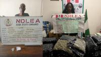 NDLEA Arrests 83-year-Old Convicted Grandma, South African Lady