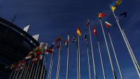 EU Parliament adopts resolution calling for Muslim Brotherhood to be added to terror list