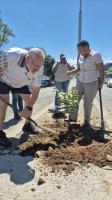 Businesses can adopt a spot to beautify Empangeni CBD
