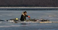 Negative impacts of climate change are readily apparent