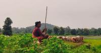 Maharashtra’s recognition of women farmers will break gender barriers