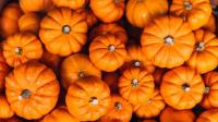 Households facing major UK pumpkin problem ahead of Halloween