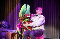 Little Shop of Horrors – A Northcott Theatre Production Review