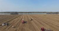 Corn straw recycling on farms in east China's Shandong drives green development