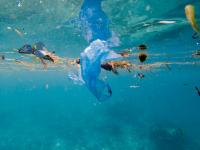NMCG rolls out framework to monitor plastic pollution in rivers