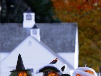 76 Pumpkin Carving Ideas Kids and Adults Will Love