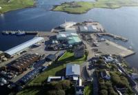 Scalloway records biggest increase in fish landing values amid another disappointing month for the Scottish sector plagued by quota cuts