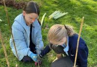 School celebrates bronze ‘global citizens’ award