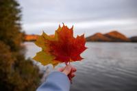 YNVD:CA: A Solid Nvidia-Based Options Income ETF Idea For Canadian Investors