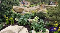 Maryland Home and Garden Show returns to the Timonium fairgrounds