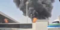Two Bangladeshis among 12 killed in Riyadh airport strike