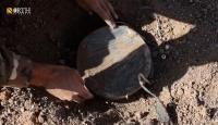 Syria clears mines, explosives from 30 villages Raqqa