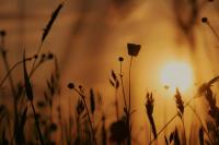 Portugal set for another week of unusually warm October weather