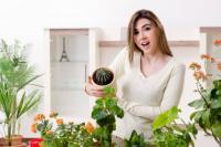 A Plant Collector Flew a Rare Christmas Cactus Home After Months of Searching, Then Felt Guilty Charging Just $2 for Cuttings Until Local Gardeners Started Offering Something Unexpected