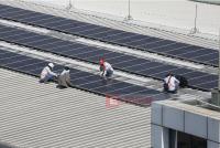 Solar panel prices nearly double amid reports of possible Super El Niño, with prices fluctuating within the same day