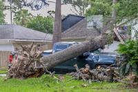 Hurricane Isaias Kills Four, Leaves Widespread Destruction as Flooding Threat Spreads Beyond Gulf Coast