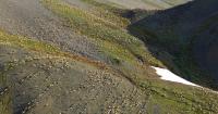Opinion: Mr. President, this is the Alaska you need to see